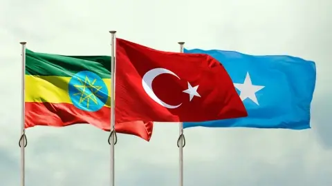Ankara Süreci’nde Türkiye’nin Rolü