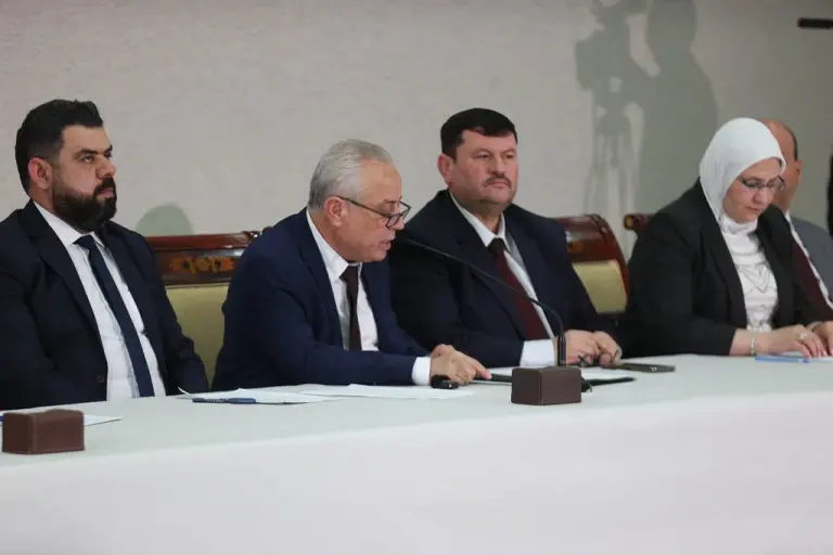 Suriye’de Yeni Aşama: Geçici Anayasal Bildirge