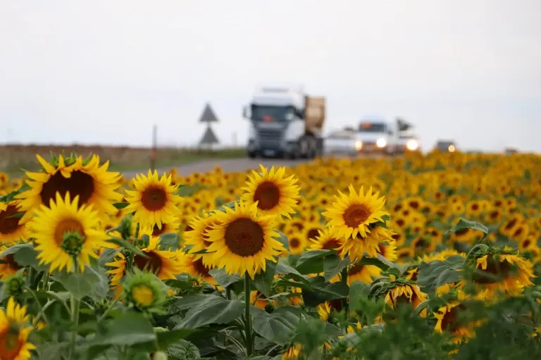 Tarımda Makroekonomik Görünüm: Tarım Orman Şurası Toplanırken Mevcut Durum