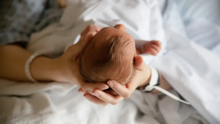 2025’ten 2026’ya Geçerken Türkiye’de Toplumun Anatomisi