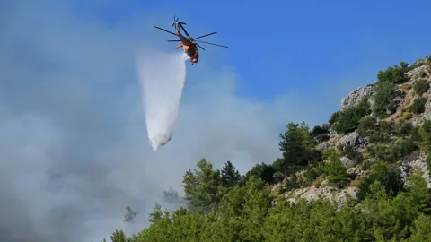 Orman Yangınlarından COP31’e: Türkiye’nin Yangın Yönetişiminde Fırsatlar