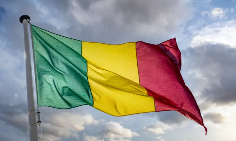 Mali’de Yeni Eşik: JNIM, Devleti Deviriyor mu yoksa Boğuyor mu?