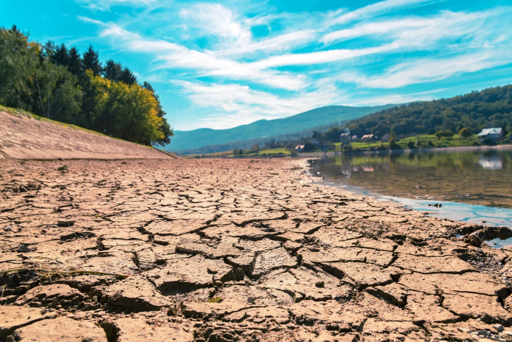 Web Panel | COP 31’e Doğru: İklim Güvenliği