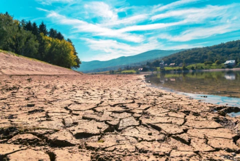 Web Panel | COP 31’e Doğru: İklim Güvenliği