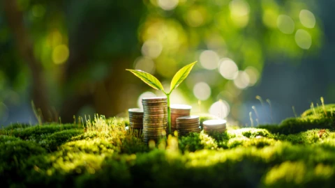 İklim Finansmanı ve Türkiye’nin Yeşil Finans Hamlesi